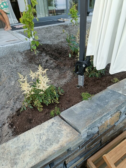 Blommor planterade i en trädgårdsbädd med ny jord bredvid en skiffermur och parasollstativ, nära en altan med öppen dörr.