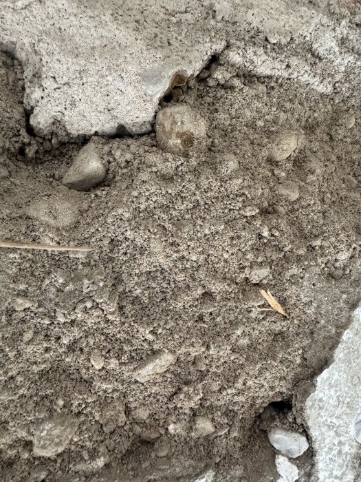 Homogen blandning av sand och grus med inblandad vass syns i en frilagd vägg, utan tecken på tegelstenar.