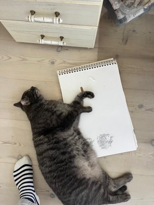 Grå katt ligger på golvet bredvid en ritblock med teckningar, intill en person med randiga strumpor.