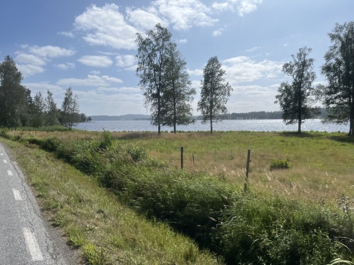 Landskapsvy med träd vid en sjö under en solig dag, med vägen till vänster och grönskande ängar i förgrunden.
