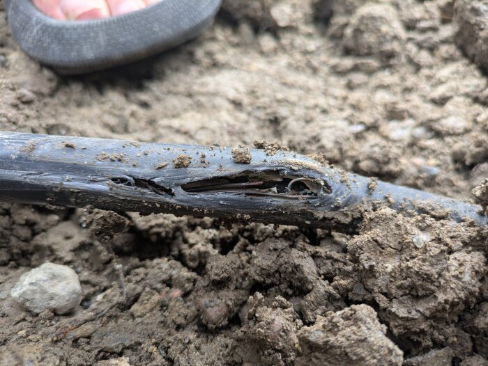 Skadad svart kabel med exponerade trådar i jord.