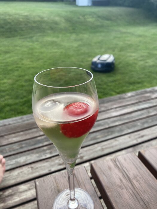 Ett glas rosévin med jordgubb och isbit, står på en träaltan med en gräsmatta och robotgräsklippare i bakgrunden.