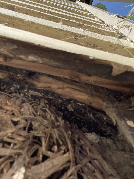 Underifrån sedd fasad och sockel med synlig träull och hålrum; visar spår av nedbrytning och exponerad isolering samt förfallande tjärpapp.