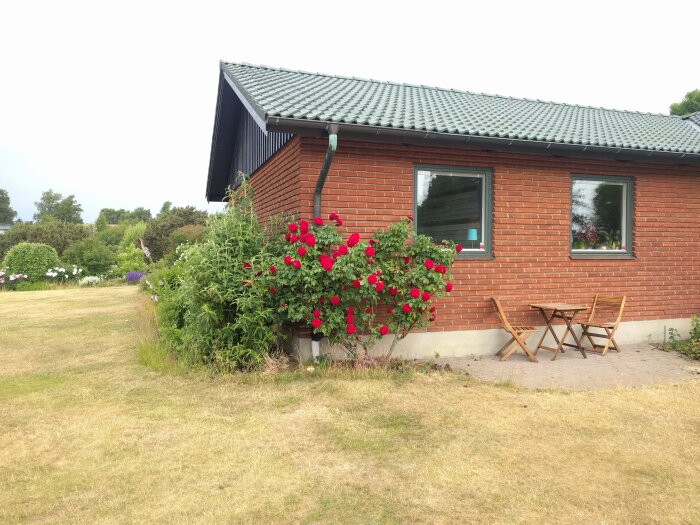 Tegelhus med mörkgrön snickerifärg, blommande rosbuske och trädgårdsmöbler på en stenlagd uteplats.