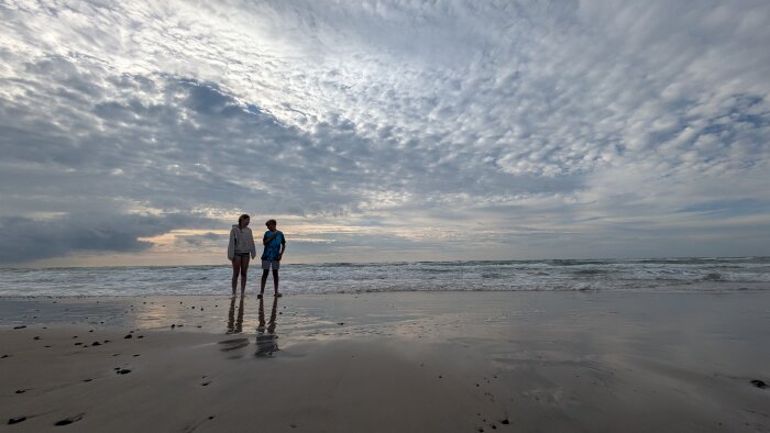 Två personer står på stranden vid havet under en molnig himmel vid Tranum Strand, Jylland.