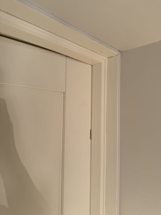 Innerdörr och karm i vitt med tätningslist, dörren verkar sitta för tätt mot karmen på gångjärnssidan.