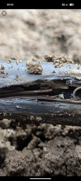 En våt, lerig kabel med sprucken isolering där flera tunna ledare på 1mm är synliga.