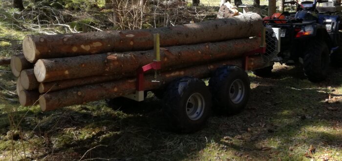 En ATV drar en vagn lastad med stockar genom skogen, utan kran eller vinsch, hanterad med lyftsax.