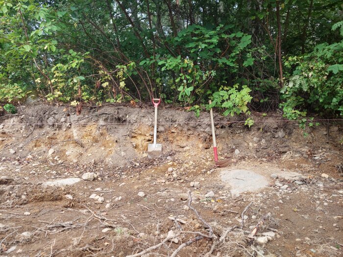Uppgrävd mark framför en skog, med en spade och kratta i jorden och ett synligt bergsparti.