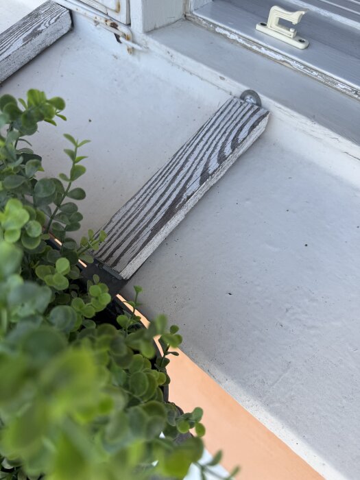 Gammal träbalkonglåda med växter bredvid fönster, slitna träbitar och rostig hållare.