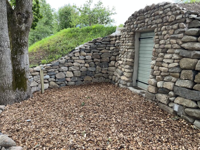 Stenkällare med grön dörr, omgiven av stenväggar och en grusad gård, bredvid ett träd och grönska.