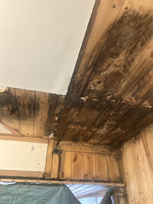Gammal vattenskada på innertak med synlig röta och delvis blottade takbalkar. Taket är delvis rivet, och trästrukturen skadad.