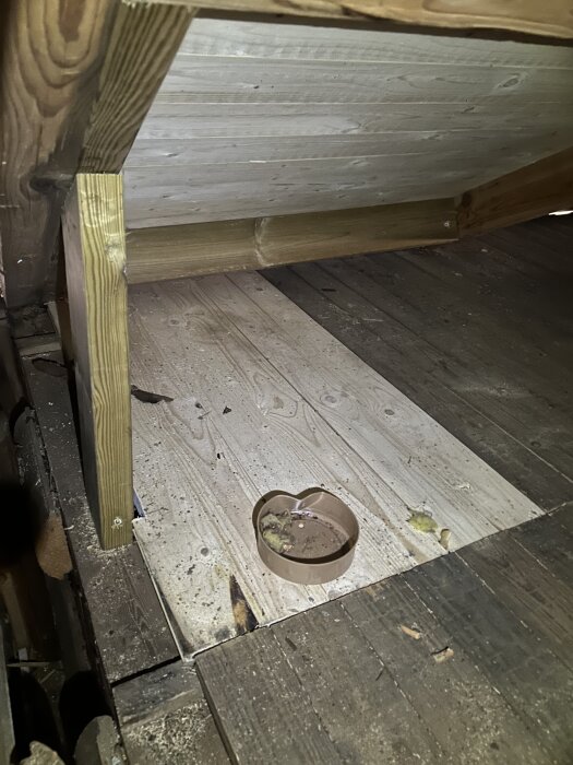 Gammal vattenskada och mögel i sommarstugans innertak, träbalkar och takstol synliga, samt en plastskål på golvet bland isolering.