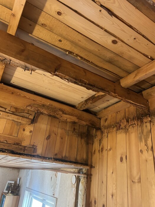 Ruttet innertak av trä med synliga takbjälkar och skador vid väggen, möjligtvis på grund av röta eller tidigare skadedjur.