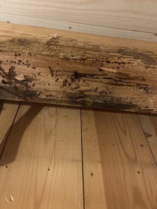 Träbjälke med synliga hål och skador, inga tecken på fukt.