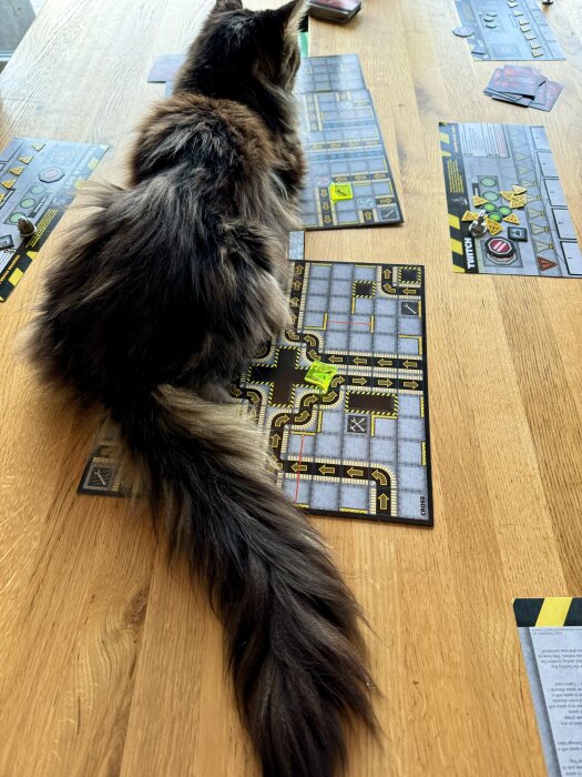 Långhårig katt ligger på ett spelbräde på ett bord, omgiven av spelkort och -pjäser. Kattens svans sträcker sig över brädet.