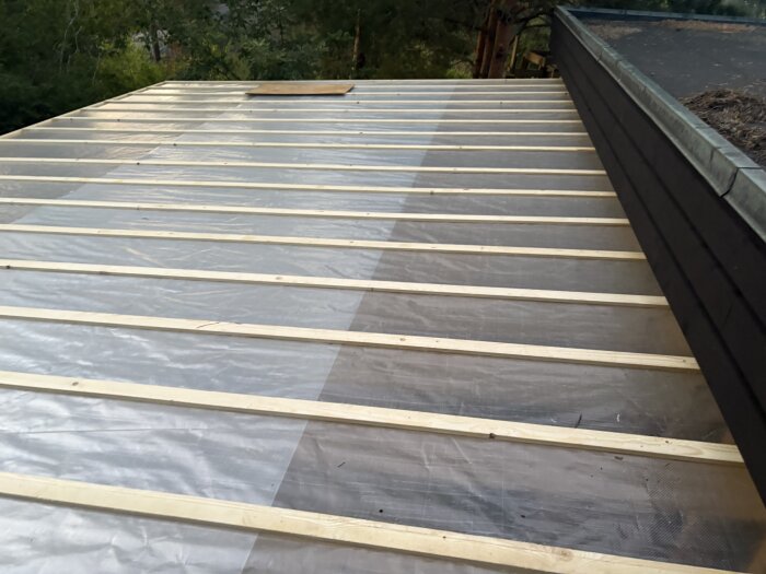 Tak med bison Kondensväv och träreglar, låg lutning. Diskussion om tejpning för att förhindra kapillärverkan.