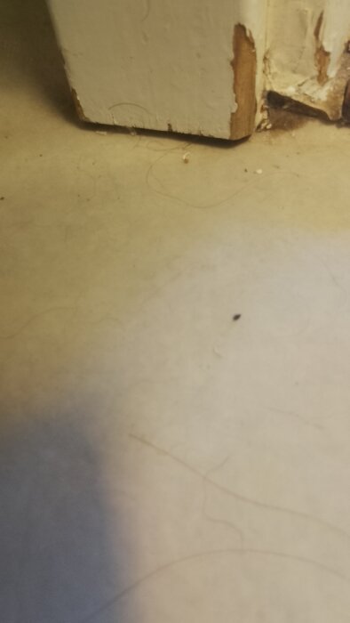 Sliten dörrkarm med färgflagor och märken vid golvet, tydande på vattenskada eller bristande fuktspärr.