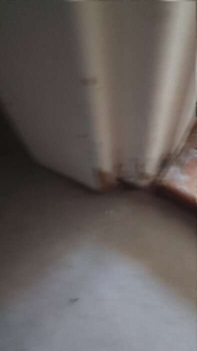 Fuktskada på tapet vid golvlisten orsakad av vatten från duschen utan duschkabin; synlig missfärgning på grund av bristande fuktspärr.