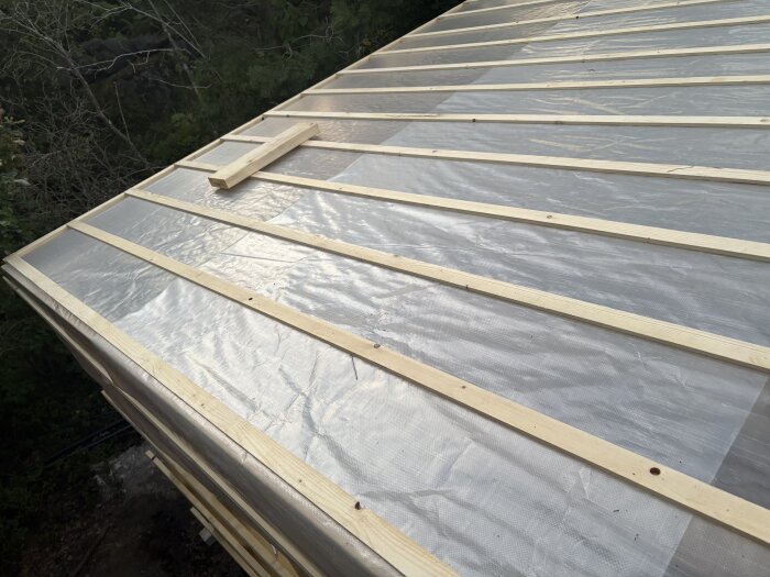 Tak med bärläkt i trä, placerade cc60 ovanpå plastmaterial för kondenskydd, del av diskussion om att skruva eller spika bärläkten.