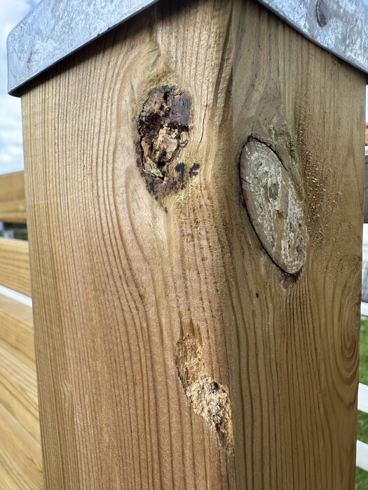 Tryckimpregnerad trästolpe med två skador på ytan, möjligen orsakade av insekter, samt galvaniserad metalltopp.