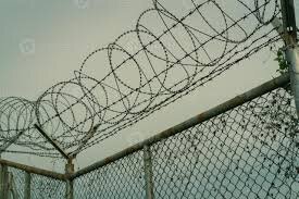 Stängsel med taggtråd ovanpå, fotograferat mot himlen.