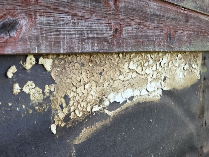 Skadad fasad med sprucken panel och flagnande material synligt under, nära nedersta brädan på ett torp före ommålning.