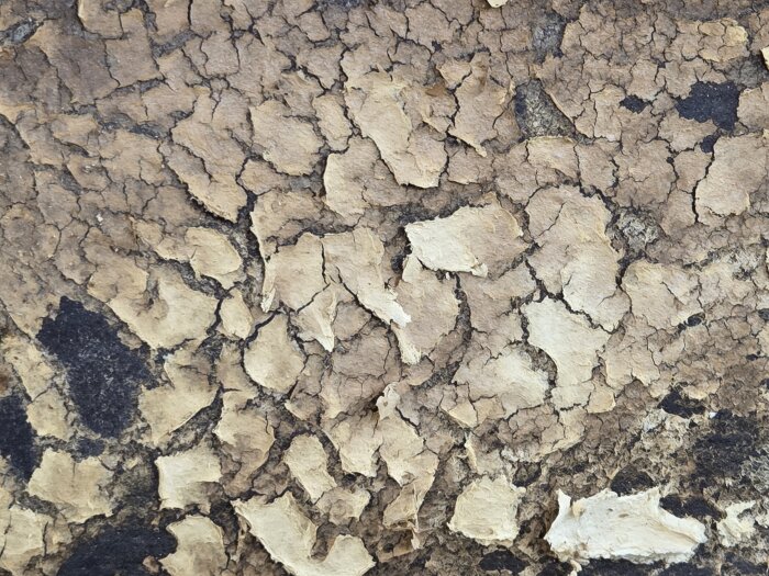 Upptäckta lager under panel på torp; sprucken, flagnad yta med ljusbruna och svarta partier. Potentiell fuktskada eller gammal beläggning.