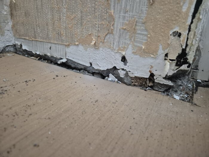 Spricka i en betongvägg vid golvet, med avskavd tapet och synliga skador, i en äldre bostadsrätt.
