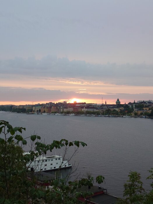 Solnedgång över en stadssilhuett vid en bred flod. En vit båt ligger förtöjd vid kajen, och förgrundens lövverk ramar in utsikten.