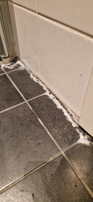 Vita kalkavlagringar på badrumsgolvets fogar och klinker nära väggen, där smuts fastnar.