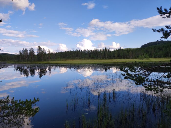 En spegelblank sjö omgiven av skog under en klarblå himmel med några vita moln. Tyst och fridfull natur.
