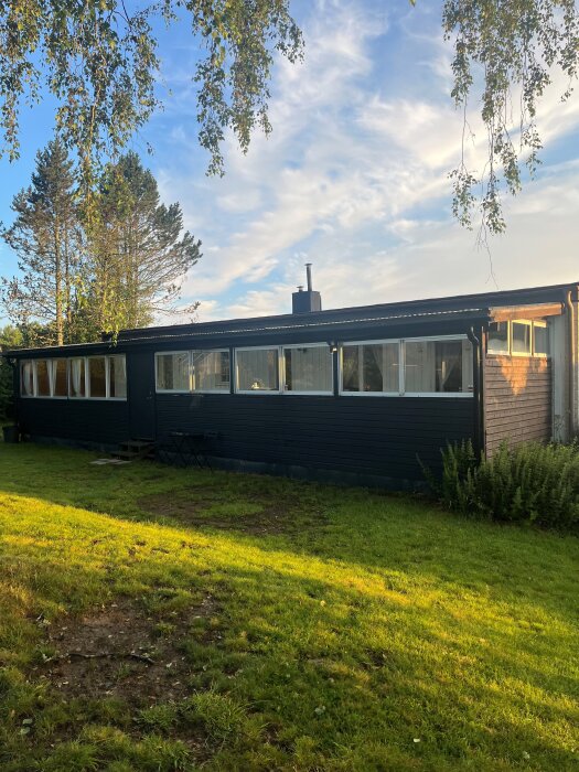 Suterrängvilla med stort uterum och grön gräsmatta, delvis skuggat av träd, i troligtvis behov av dränering.