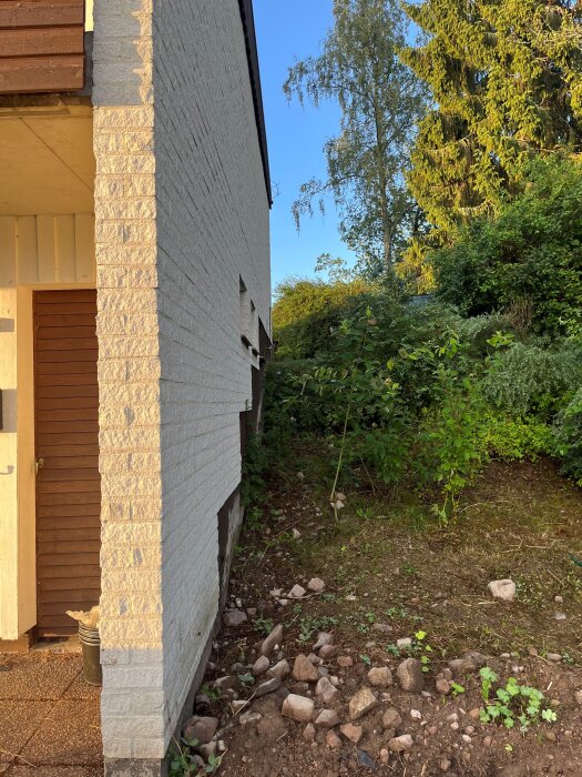 Husfasad vid uteplats omgiven av grönska och buskar nära stuprör, med synlig mark och stenar.
