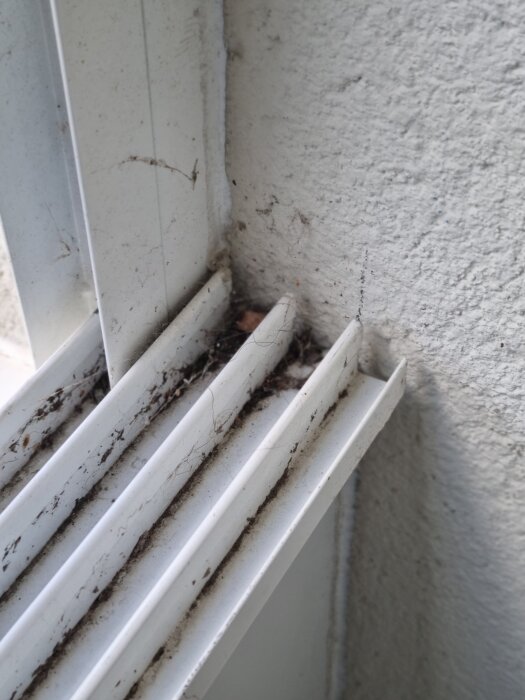 Smutsiga spår och damm i en fönsterram med tydliga tecken på bristande rengöring, vilket framhäver behovet av bättre städning.