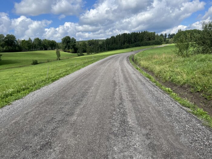Landskapsvy av en grusväg som slingrar genom gröna ängar och träd under en delvis molnig himmel.