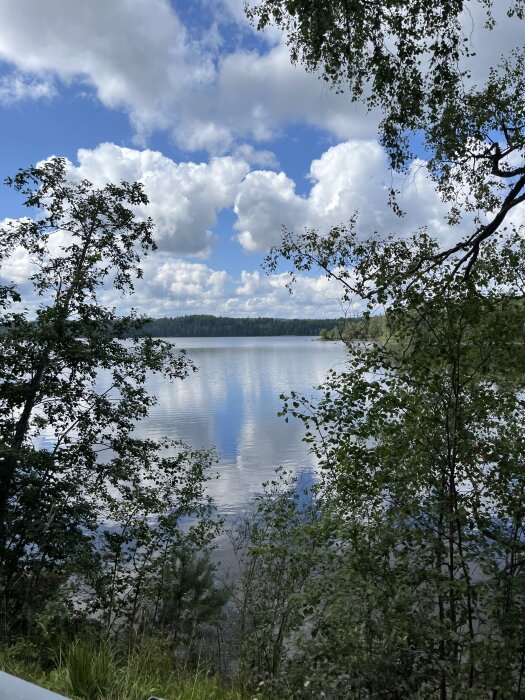 Sjöutsikt med spegelblankt vatten, omgiven av träd och buskar mot en bakgrund av blå himmel och vita moln.