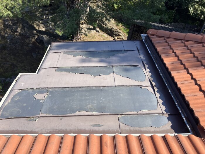 Plåttak med flagnande färg och tecken på ytlig rost, bredvid ett tak med tegelpannor.