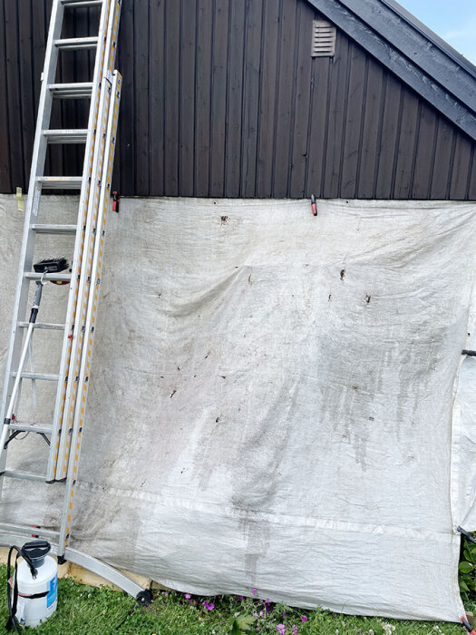Stege placerad mot en brunmålad husvägg med presenning under. Vattenflaska och borste syns, indikerar pågående fasadtvätt eller målningsprojekt.