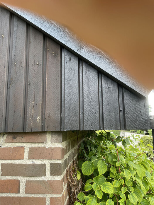 Nyrenoverad fasad på hus, målad i mörkbrun lasyr, visar en mötande tegelvägg och grönska.