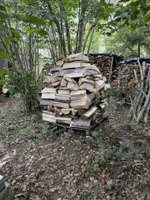 Hög med huggna aspstockar staplade på en skogsglänta med träd i bakgrunden.