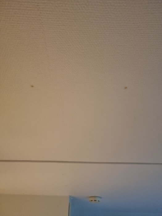 Fläckar på innertaket i stugan, möjligen vid skruvar eller spikar.