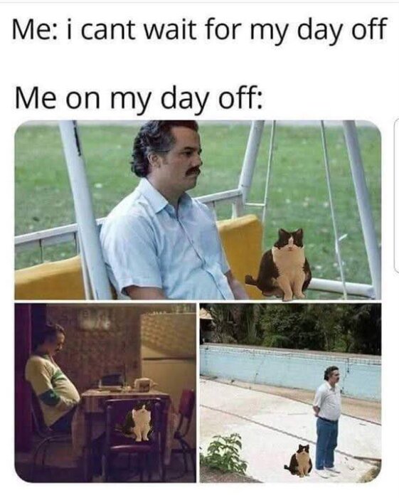Person som ser uttråkad ut på flera platser, med en katt bredvid sig, under sin lediga dag.