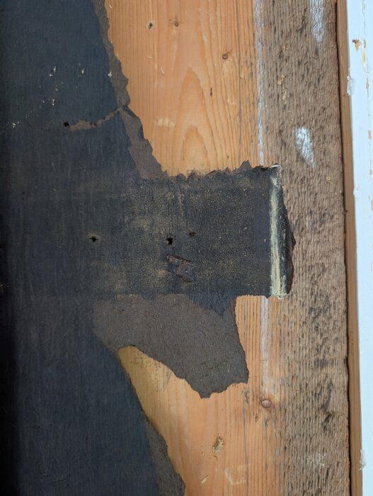 Svart papp och trävägg i hall; papp är delvis nött, del av äldre byggnation i trä synlig, kontext: sur lukt i trähus från 1934.