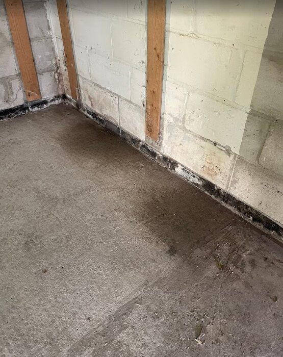 Betonggolv med fuktfläckar vid basen av en vägg i ett renoveringsprojekt, där väggen är delvis exponerad och golvet synligt torrt på vissa ställen.