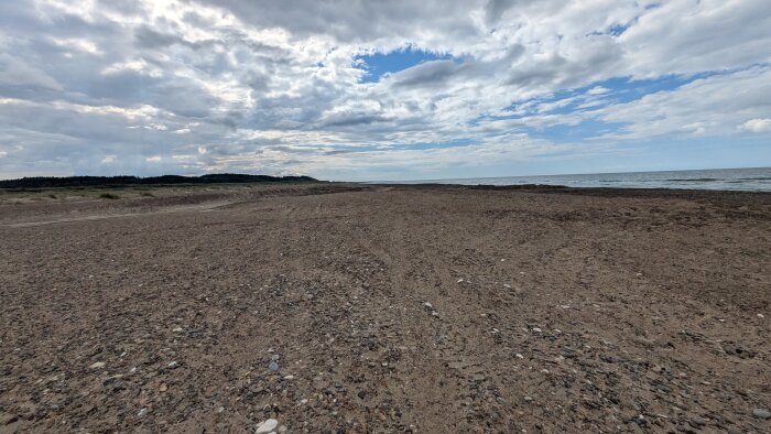 Öde sandstrand med stenar, molnig himmel och havet i bakgrunden.