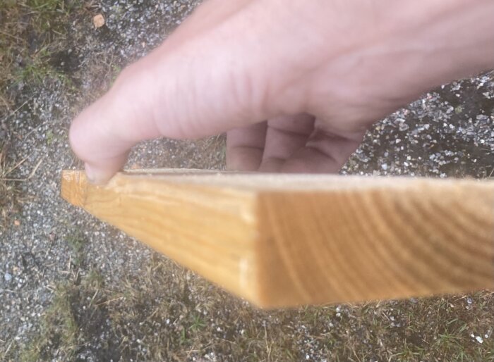 Hand håller en bräda över grus- och gräsmark.