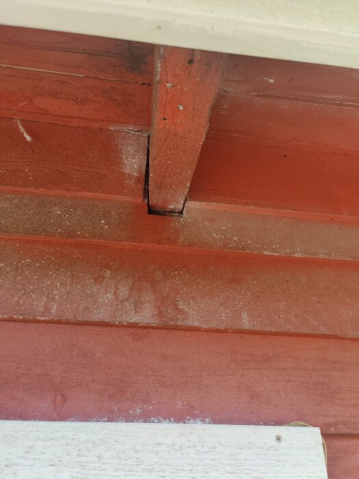 Röd husvägg med en träribba synlig ovanför, där insekter kan ta sig in vid takfoten, potentiell plats för getingbon.