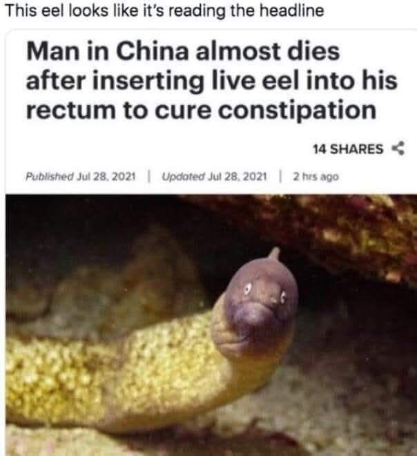 Ål under vatten med bildtext om en man i Kina som riskerar att dö efter att ha använt en ål mot förstoppning.