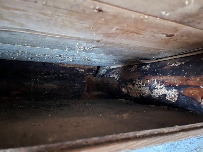 Stockar i källarens tak med mörknade fläckar och spår av gammal isolering, del av teknikrum i ett 1945-tals stockhus.